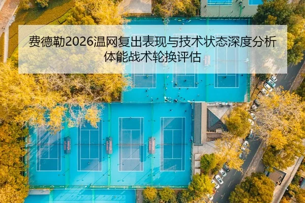 fei-de-lei-wen-wang-fu-chu-biao-xian-yu-ji-shu-zhuang-tai-shen-du-fen-xi-ti-neng-zhan-shu-lun-huan-ping-gu-2-772.jpg